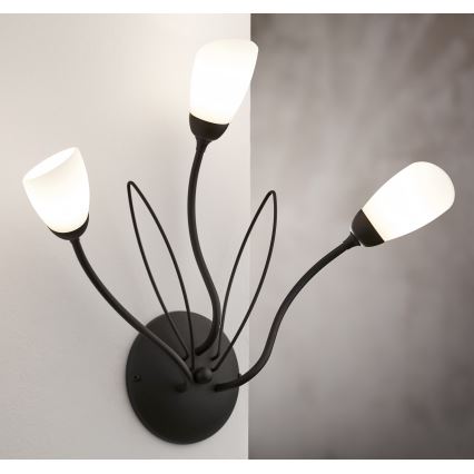 Jupiter 2059 - Wandleuchte GLORIOSA 3xG9/14W/230V schwarz