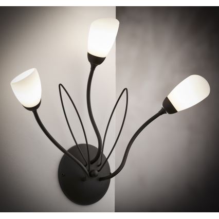 Jupiter 2059 - Wandleuchte GLORIOSA 3xG9/14W/230V schwarz