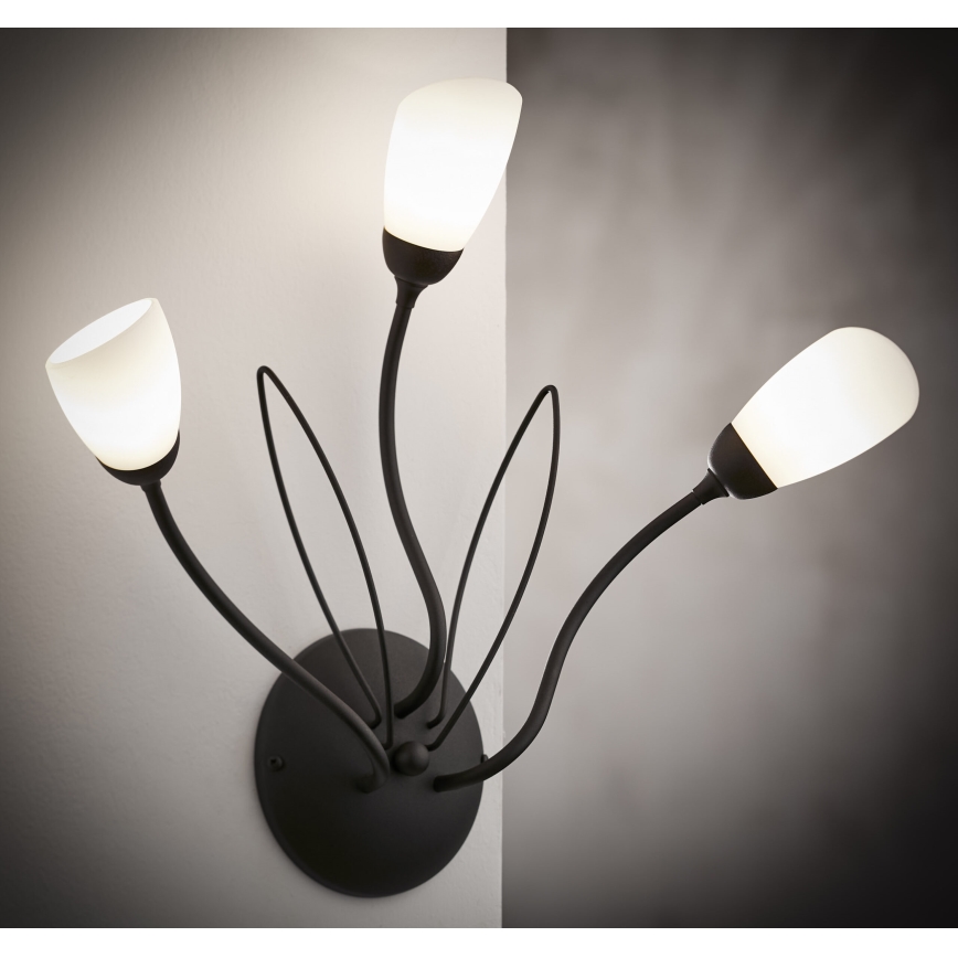 Jupiter 2059 - Wandleuchte GLORIOSA 3xG9/14W/230V schwarz