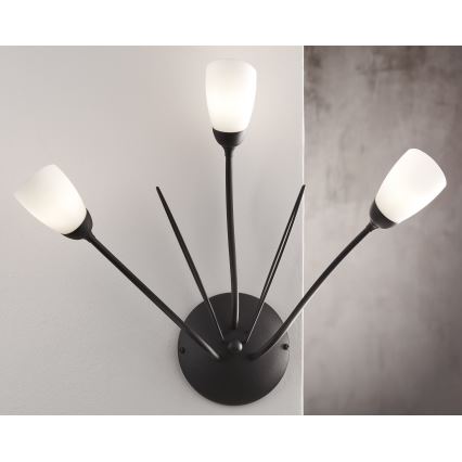 Jupiter 2059 - Wandleuchte GLORIOSA 3xG9/14W/230V schwarz