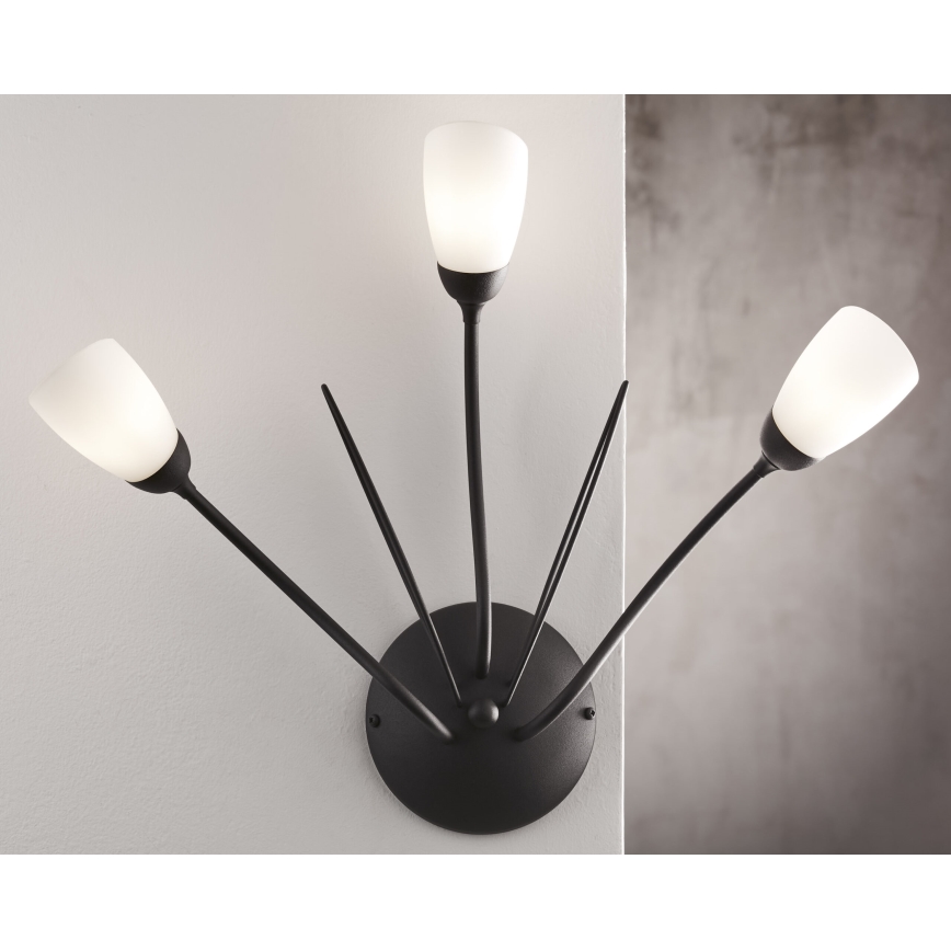 Jupiter 2059 - Wandleuchte GLORIOSA 3xG9/14W/230V schwarz