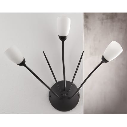 Jupiter 2059 - Wandleuchte GLORIOSA 3xG9/14W/230V schwarz