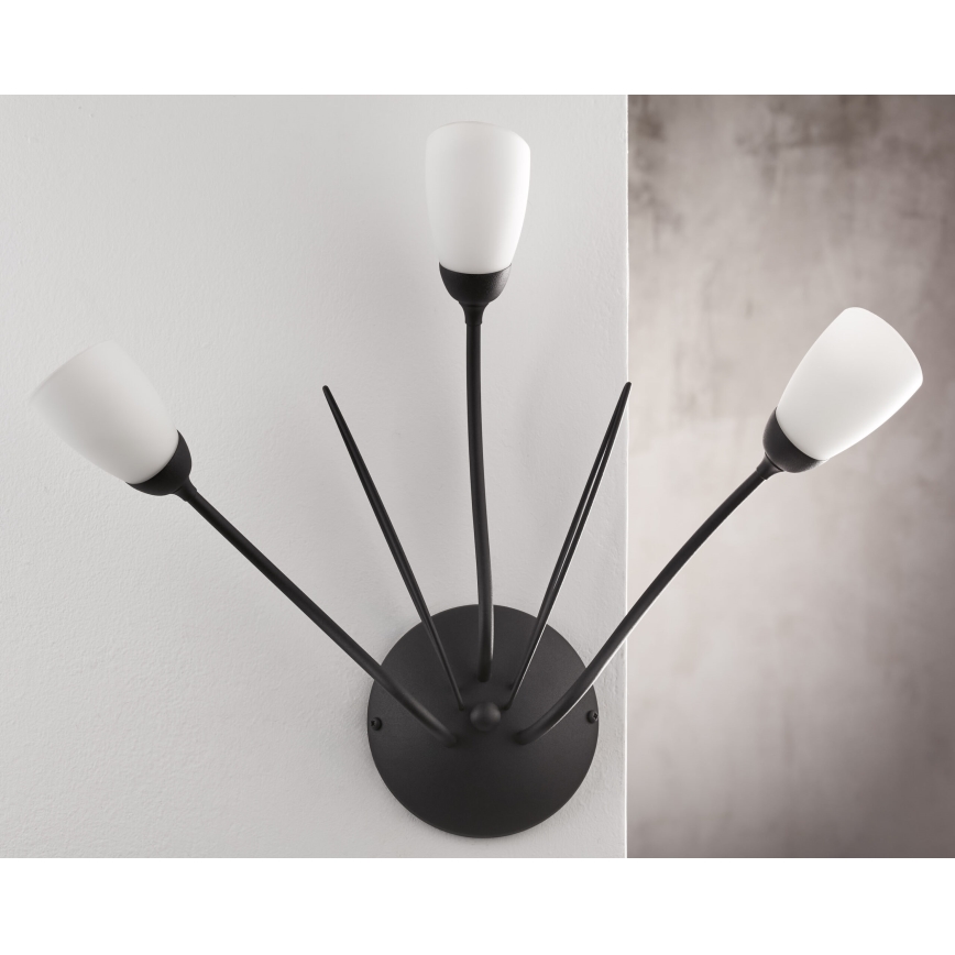 Jupiter 2059 - Wandleuchte GLORIOSA 3xG9/14W/230V schwarz