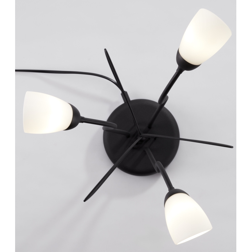 Jupiter 2065 - Tischleuchte GLORIOSA 3xG9/14W/230V schwarz