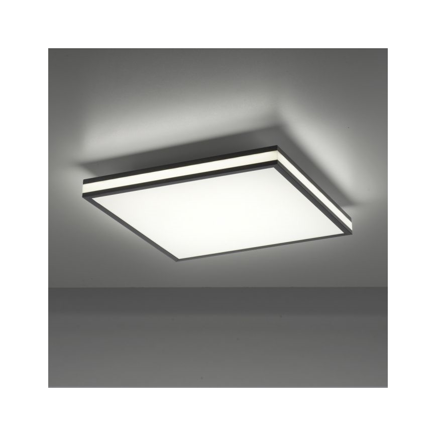 JUST LIGHT. 14110-18 - Dimmbare LED-RGBW-Deckenleuchte MARIO BLACK LED/19,5W/230V 2700-5000K + Fernbedienung