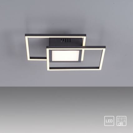 JUST LIGHT. 14144-18 - LED-Deckenleuchte ASMIN LED/26W/230V