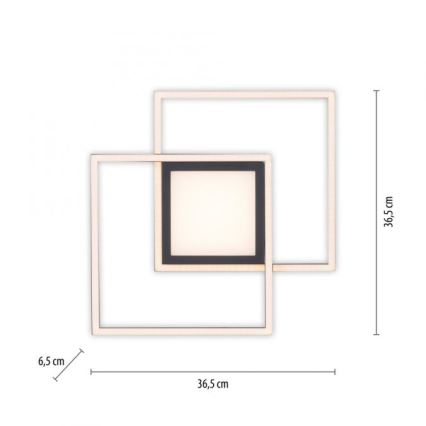 JUST LIGHT. 14144-18 - LED-Deckenleuchte ASMIN LED/26W/230V