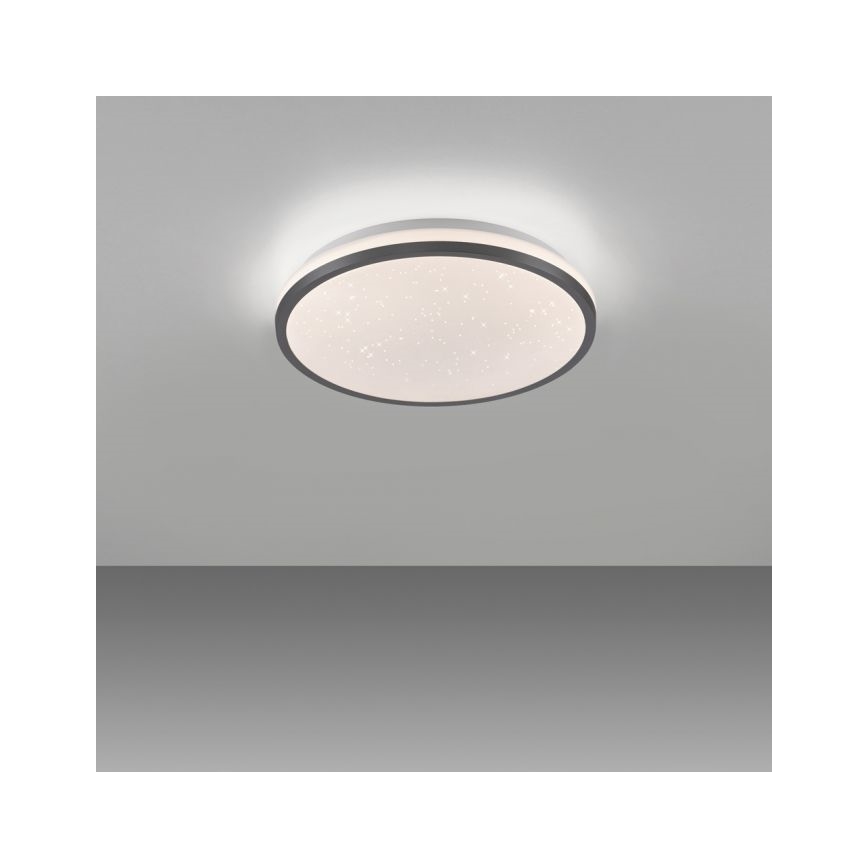 JUST LIGHT. 14293-18 - Dimmbare LED-Deckenleuchte KYLE LED/10W/230V d 28 cm schwarz