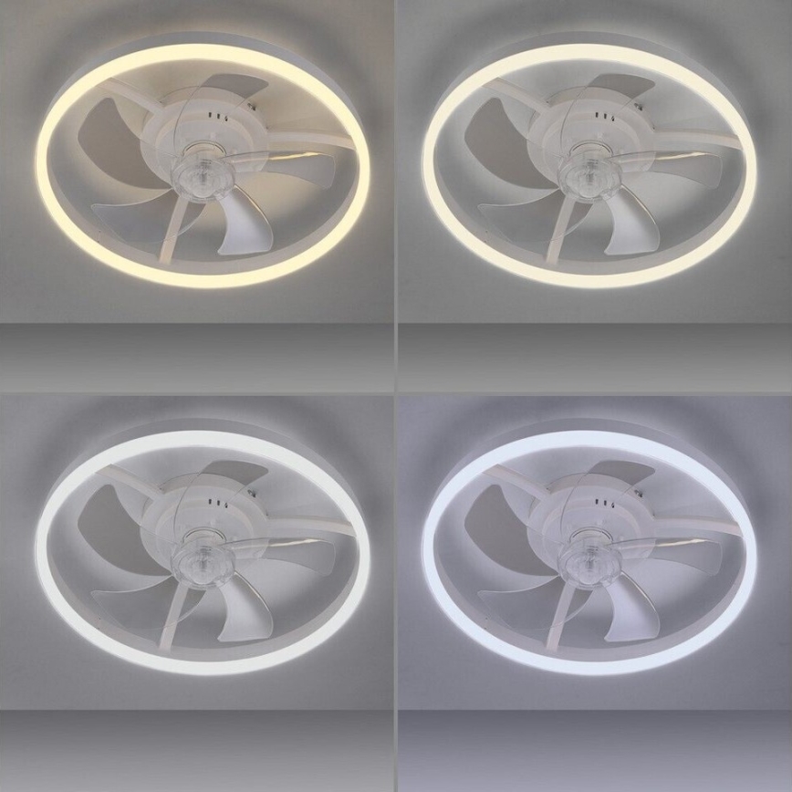JUST LIGHT. 14624-16 - Dimmbarer LED-Deckenventilator mit Licht RITA LED/22W/230V 3000-6000K Ø 50 cm weiß + Fernbedienung