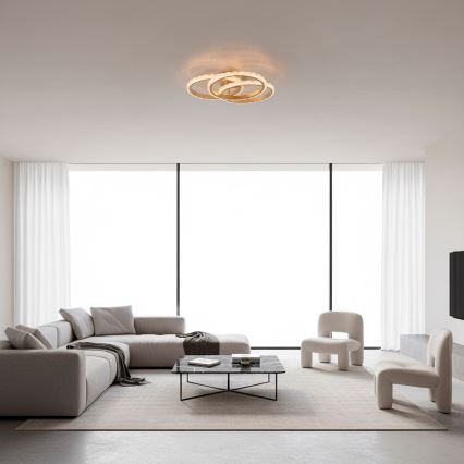 JUST LIGHT. 14734-60 - LED-Deckenleuchte GLITRA LED/37W/230V Ø 50 cm goldfarben