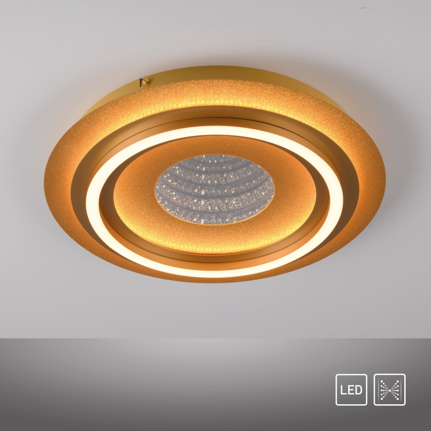JUST LIGHT. 15089-60 - LED-Deckenleuchte CICHIO LED/36W/230V Ø 40 cm goldfarben