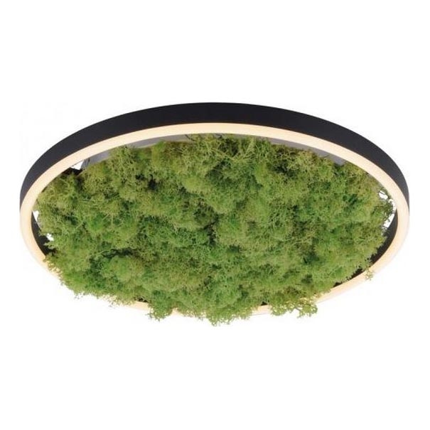 JUST LIGHT. 15391-66 - Dimmbare LED-Deckenleuchte GRÜN RITU LED/20W/230V