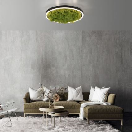 JUST LIGHT. 15391-66 - Dimmbare LED-Deckenleuchte GRÜN RITU LED/20W/230V