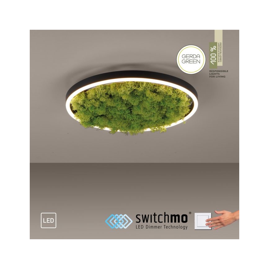 JUST LIGHT. 15391-66 - Dimmbare LED-Deckenleuchte GRÜN RITU LED/20W/230V