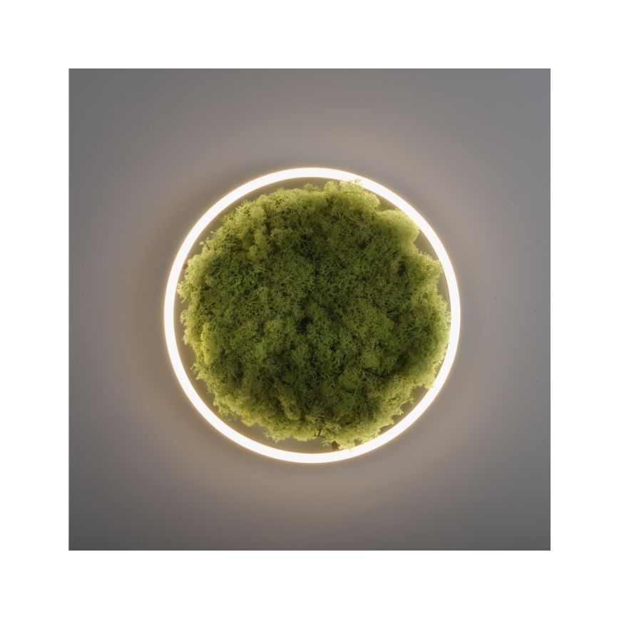 JUST LIGHT. 15391-66 - Dimmbare LED-Deckenleuchte GRÜN RITU LED/20W/230V