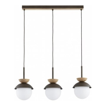 Kabel-Hängeleuchte REMKE 3xE14/10W/230V braun