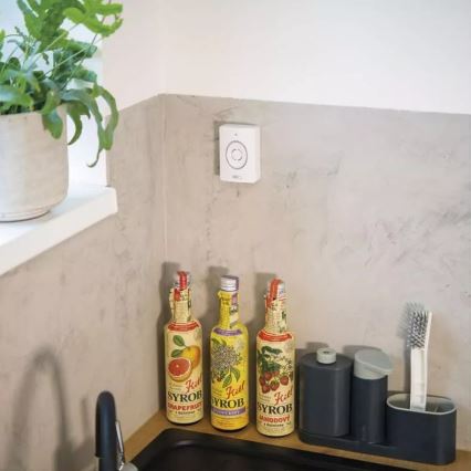 Kabellose Video-Türklingel mit Bewegungssensor GoSmart 12V/3xAA IP44 Wi-Fi Tuya