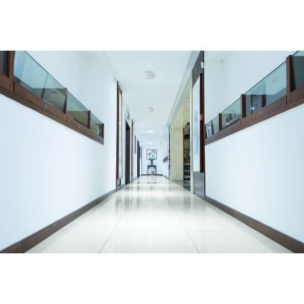 LED-Deckenleuchte mit Bewegungs- und Dämmerungssensor FOGLER LED/24W/230V Ø 38 cm