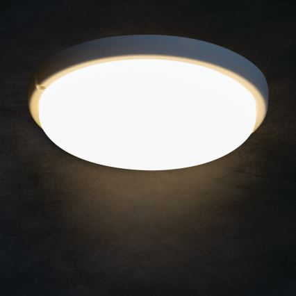 LED-Deckenleuchte für Badezimmer TOLU LED/18W/230V 4000K IP54 weiß