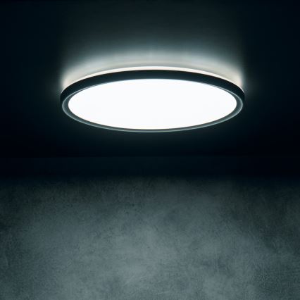 LED-Deckenleuchte AZPO LED/11,8W/230V 3000/4000/6000K Ø 22,5 cm IP54 schwarz