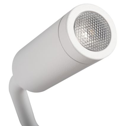 LED Flexibles Leselicht TONIL LED/2,7W/230V Weiß