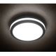 LED Außenleuchte BENO LED/24W/230V IP54 grau