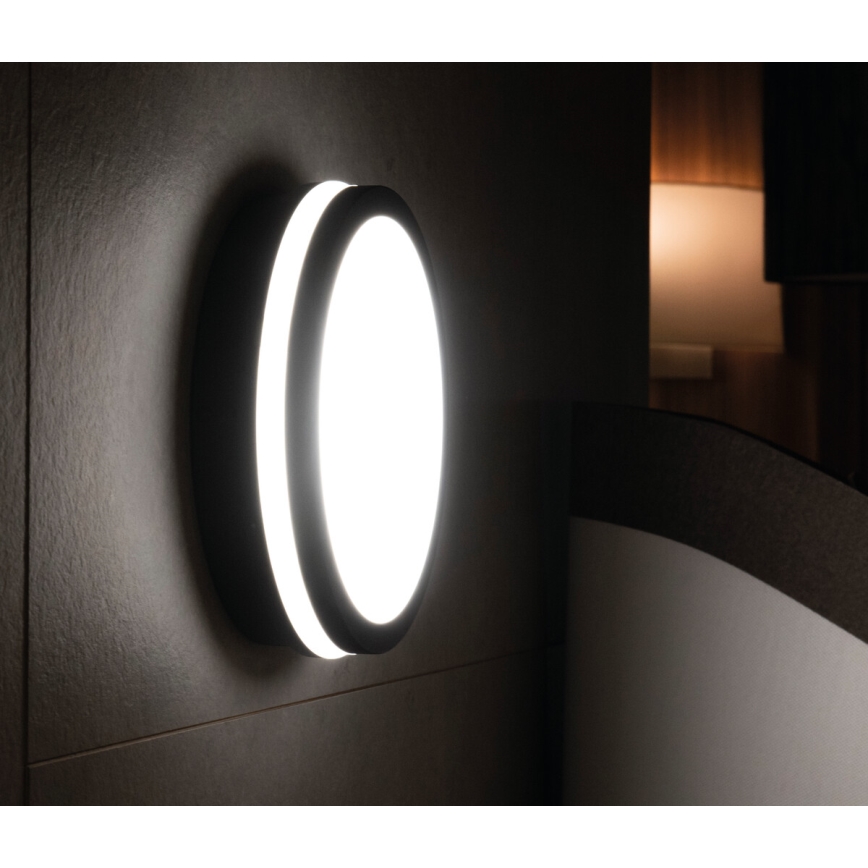LED Außenleuchte BENO LED/24W/230V IP54 grau
