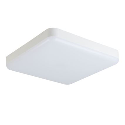 LED-Hochleistungs-Deckenleuchte IPER LED/35W/230V IK10 IP65 eckig weiß