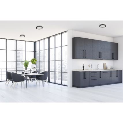 LED-Deckenleuchte für den Außenbereich BENO E LED/30W/230V 3000/4000/6500K d 30 cm IP65 schwarz