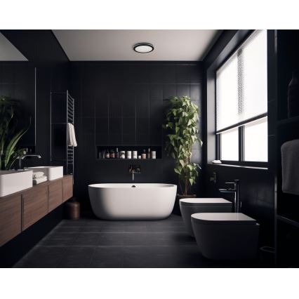 LED-Deckenleuchte für den Außenbereich BENO E LED/30W/230V 3000/4000/6500K d 30 cm IP65 schwarz