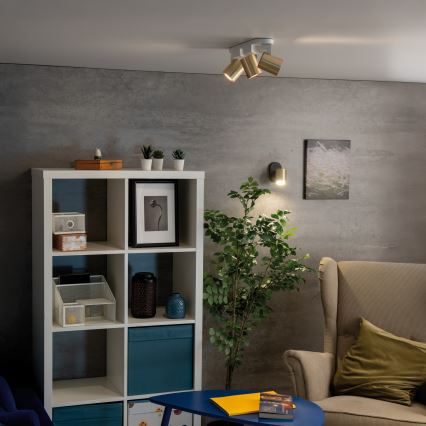 Wandstrahler LAURIN 1xGU10/10W/230V Messing/schwarz