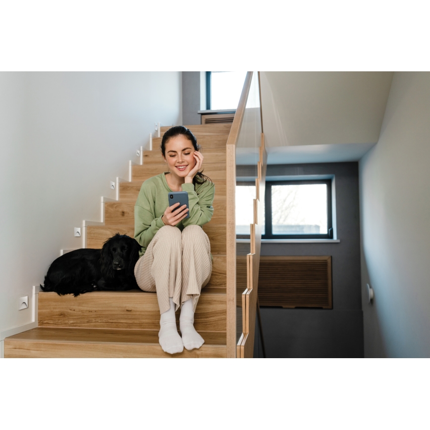 LED Treppenleuchte EXIN LED/2,5W/230V 3000K IP65 weiß eckig