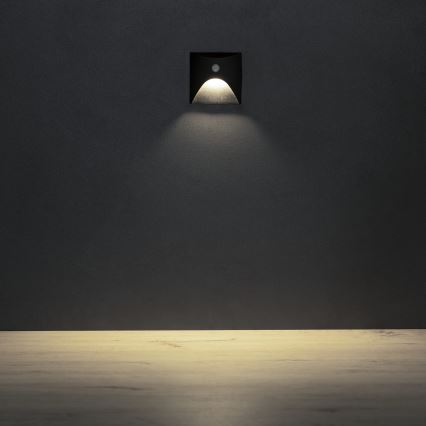 LED-Treppenleuchte mit Bewegungs- und Dämmerungssensor EXIN LED/2,5W/230V 4000K IP65 schwarz, eckig