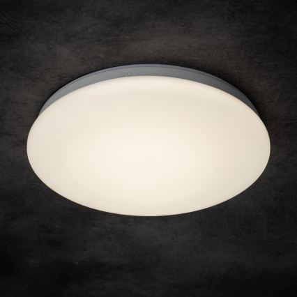 LED-Deckenleuchte für Badezimmer ENELO, LED/10W/230V, Ø 24 cm, IP44