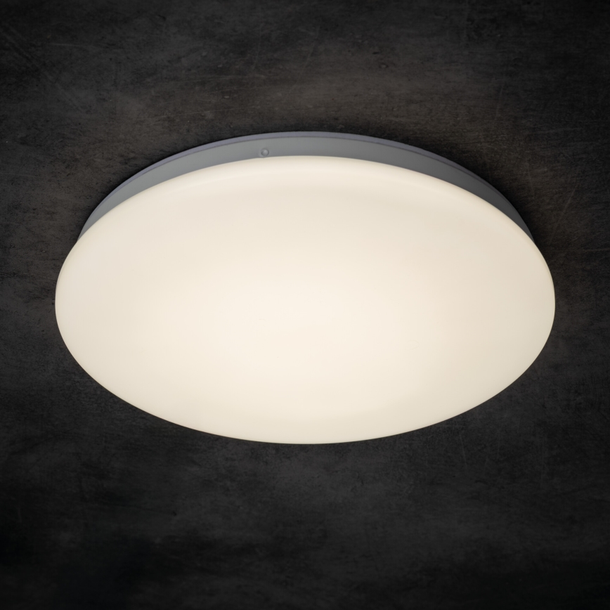 LED-Deckenleuchte für Badezimmer ENELO, LED/10W/230V, Ø 24 cm, IP44