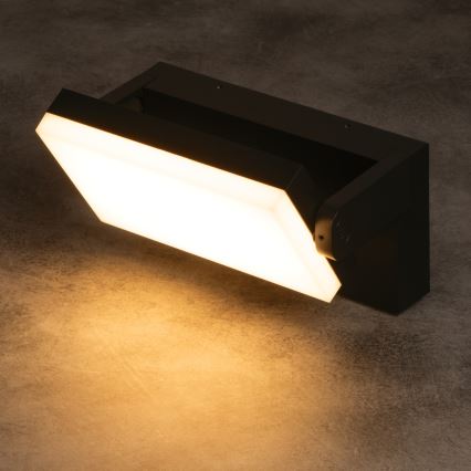 LED-Außenwandleuchte XERTO, 20 W, 230 V, 3000/4000/6500 K, IP65, schwarz