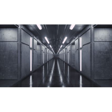 LED-Deckenleuchte LINCEA LED/15/20/24W/230V 3000/4000/6500K IK08 IP40