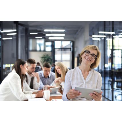 LED-Deckenleuchte LINCEA LED/15/20/24W/230V 3000/4000/6500K IK08 IP40