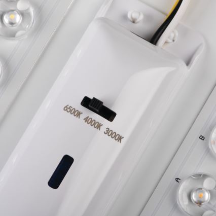 LED-Deckenleuchte LINCEA LED/15/20/24W/230V 3000/4000/6500K IK08 IP40