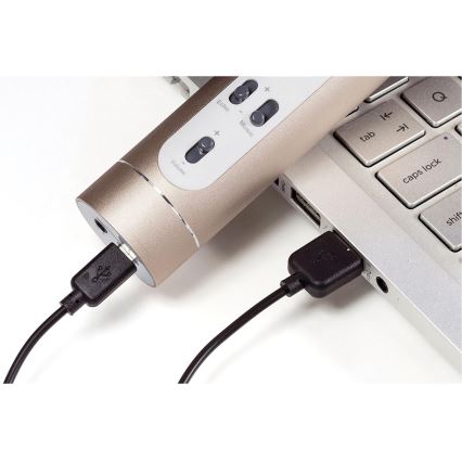 Karaoke-Mikrofon 6W/5V 1500 mAh Bluetooth gold