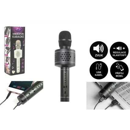 Karaoke-Mikrofon 6W/5V 1500 mAh Bluetooth, schwarz
