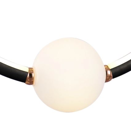 LED dimmbare Hängeleuchte an Kabel LIV LED/50W/230V schwarz + Fernbedienung