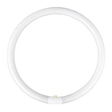 Kreisförmige Leuchtstoffröhre YH G10q/40W/230V - Opple 03053 kreisförmig