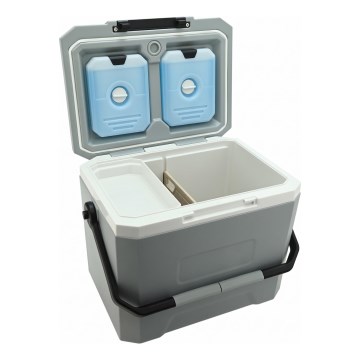 Kühlbox mit Kühlakku, 16 l, grau