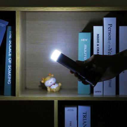 LED Akku-Taschenlampe LED/4,5W/3,7V 1200 mAh