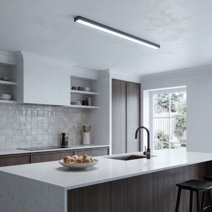 LED Aufbau-/Pendelleuchte mit Kabelaufhängung LED/44W/230V 6000K 120 cm schwarz