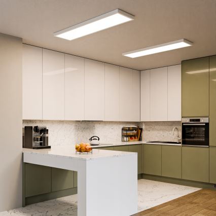 LED-Aufbaupanel LED/60W/230V 30x120 cm weiß