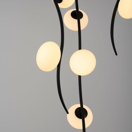 LED-Aufgesetzte Deckenleuchte GELA 18xLED/3W/230V 3000K schwarz