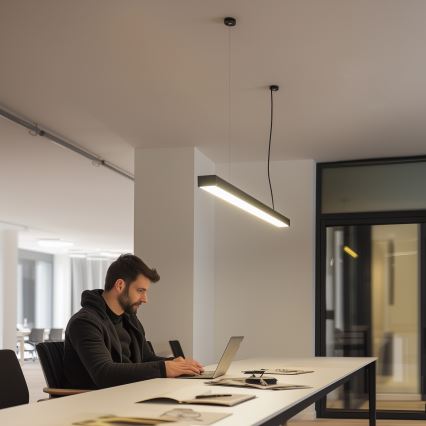 LED-Aufputz-Hängeleuchte CYNIDECO LED/12W/230V 4000K schwarz