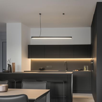 LED-Aufputz-Hängeleuchte CYNIDECO LED/12W/230V 4000K schwarz